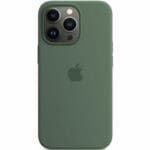 Apple Eucalyptus Silicone MagSafe Kryt iPhone 13 Pro