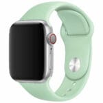 Silikónový Náramok Apple Watch 45/44/42/Ultra Beryl Large