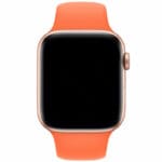 Silikónový Náramok Apple Watch 45/44/42/Ultra Vitamin C Large