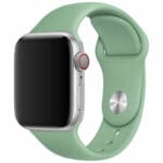 Silikónový Náramok Apple Watch 45/44/42/Ultra Beryl Large